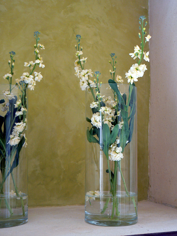 Giroflée quarentaine